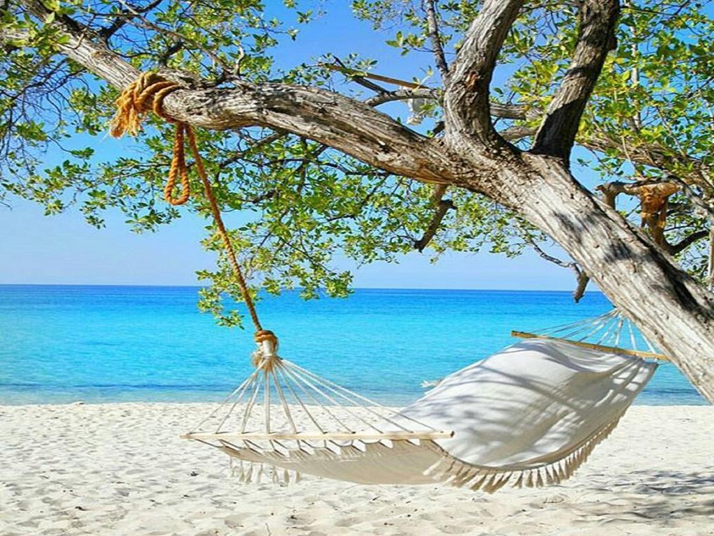 Eco Del Mar Hotel Pedernales Eksteriør billede